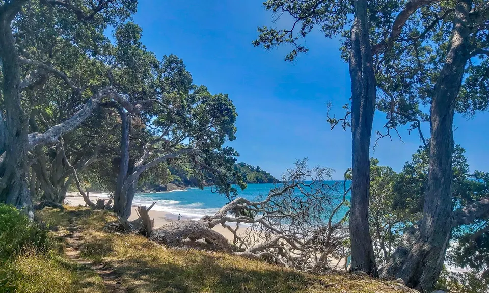Orokawa Bay & William Wright Falls, Bay of Plenty