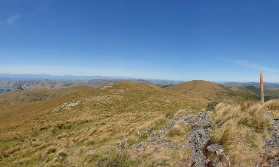 Summit Walkway, Canterbury