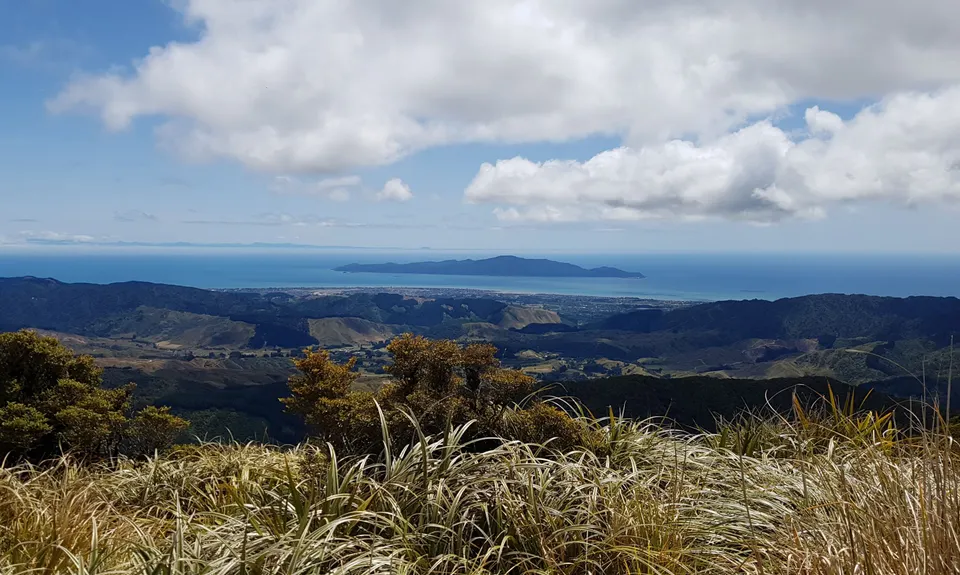 Kapakapanui Loop, Wellington