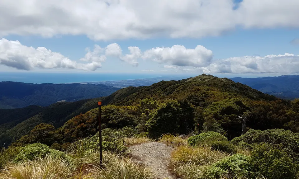 Kapakapanui Loop, Wellington