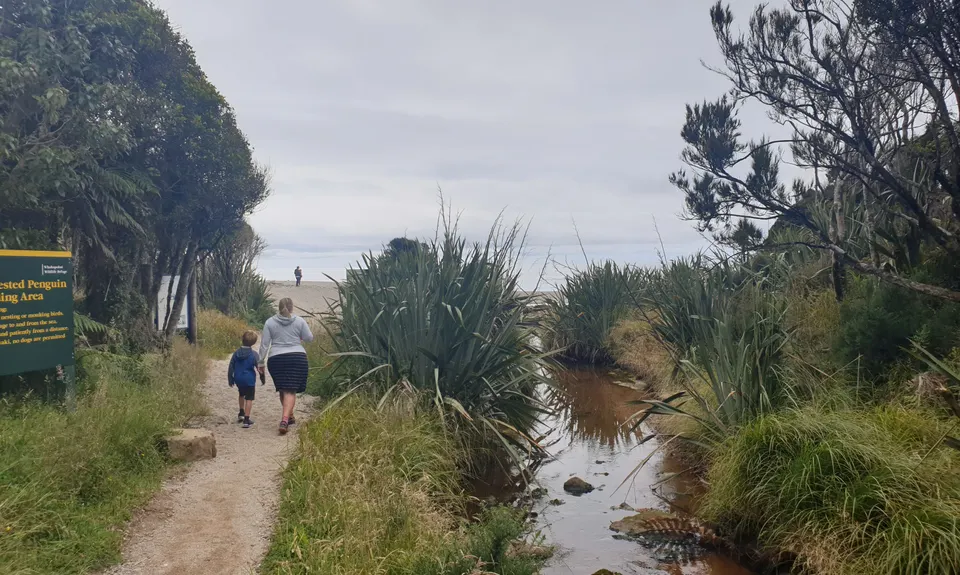 Monro Beach Track, West Coast