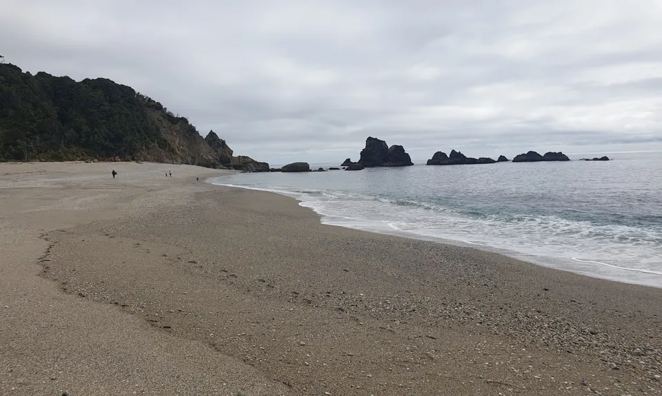 Monro Beach Track, West Coast