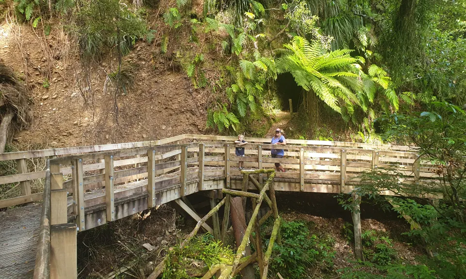 The Great Ross Gold Run, West Coast