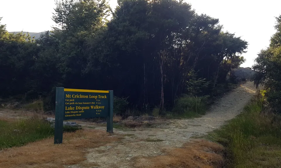 The Felic Relic , Otago
