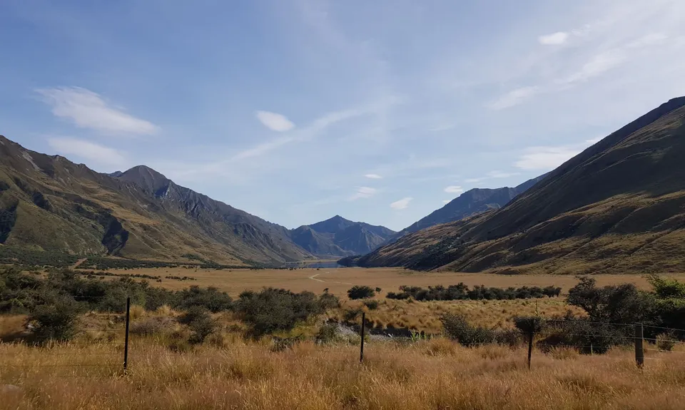 The Felic Relic , Otago