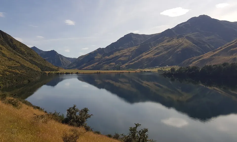 The Felic Relic , Otago