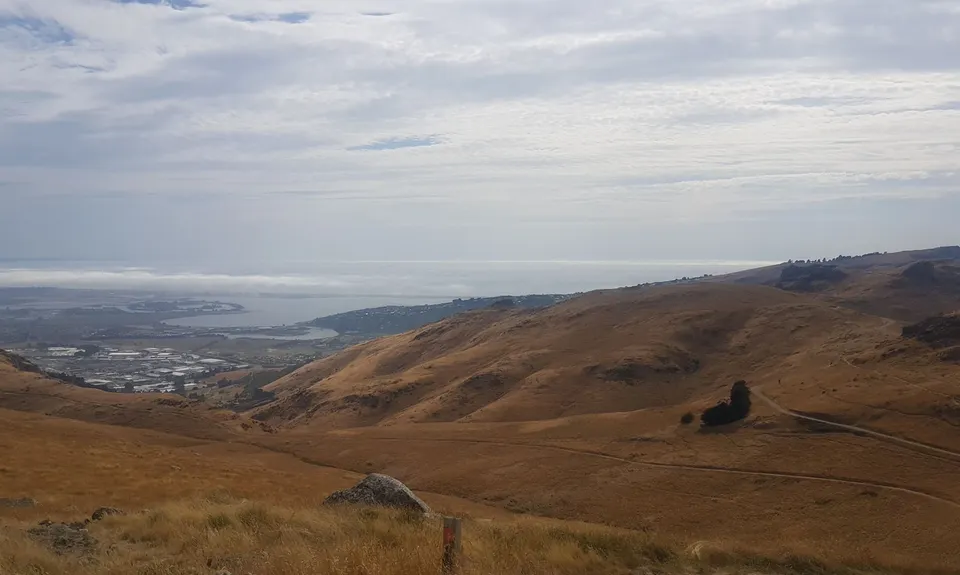 Sign Of The Takahe - Rapaki, Canterbury