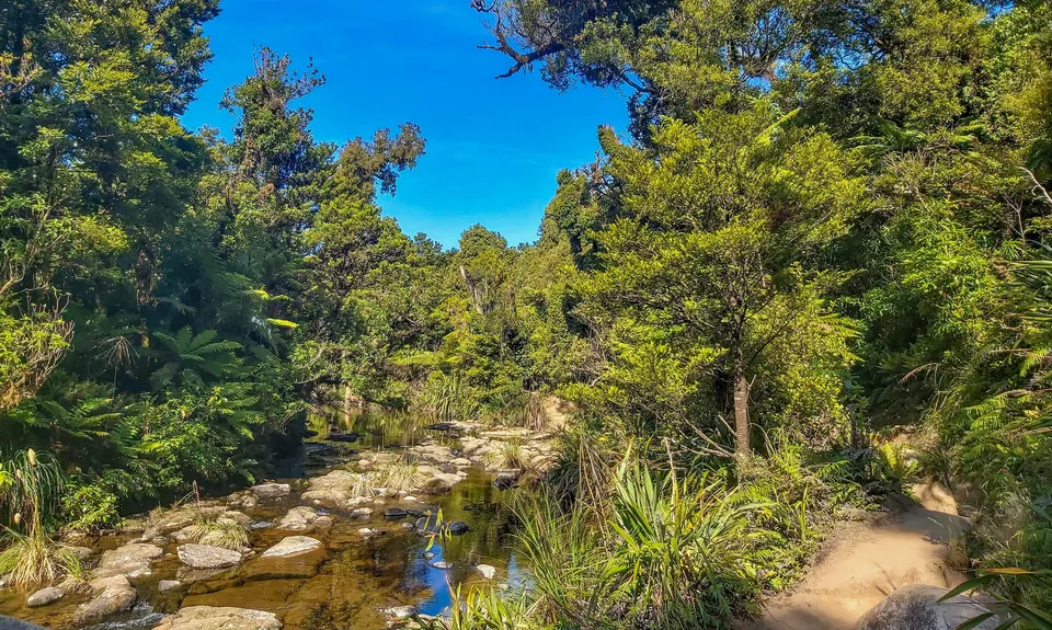 Te Tuhi Wairere Loop, Waikato