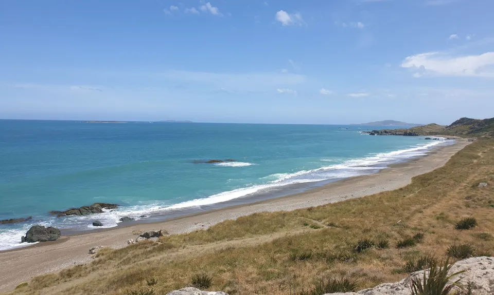 A Whale of a Trail, Southland