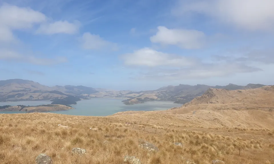 Tussock Hill Ridge, Canterbury