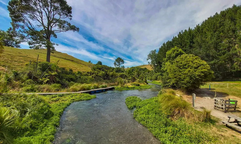 Te Waihou Walkway, Waikato