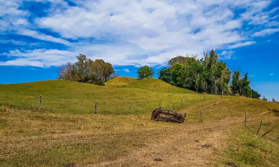 Te Waihou Walkway, Waikato