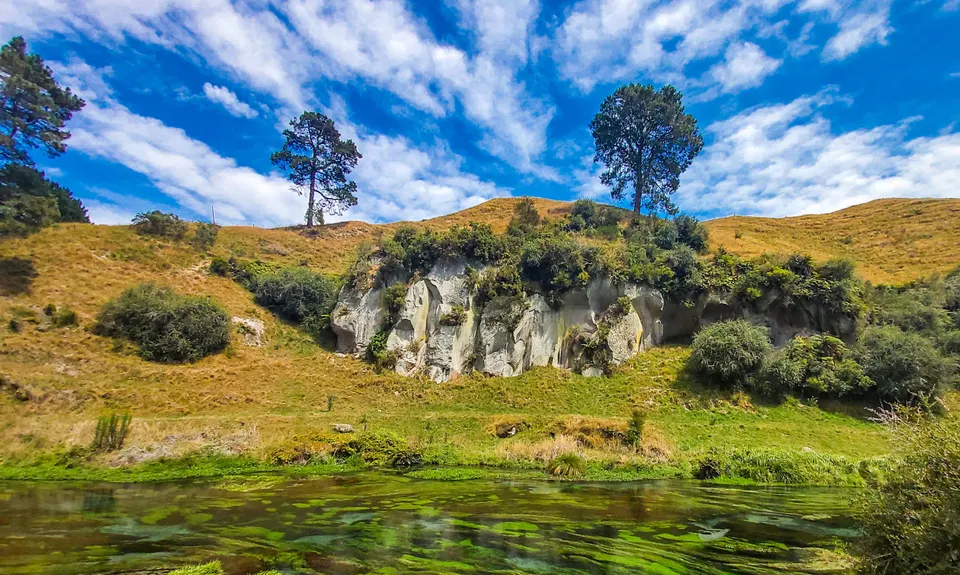 Te Waihou Walkway, Waikato