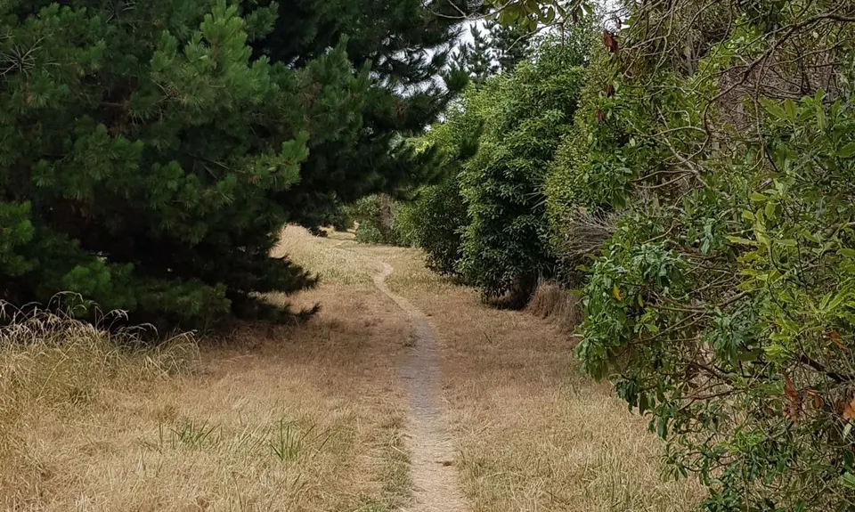 Heathcote Meander, Canterbury