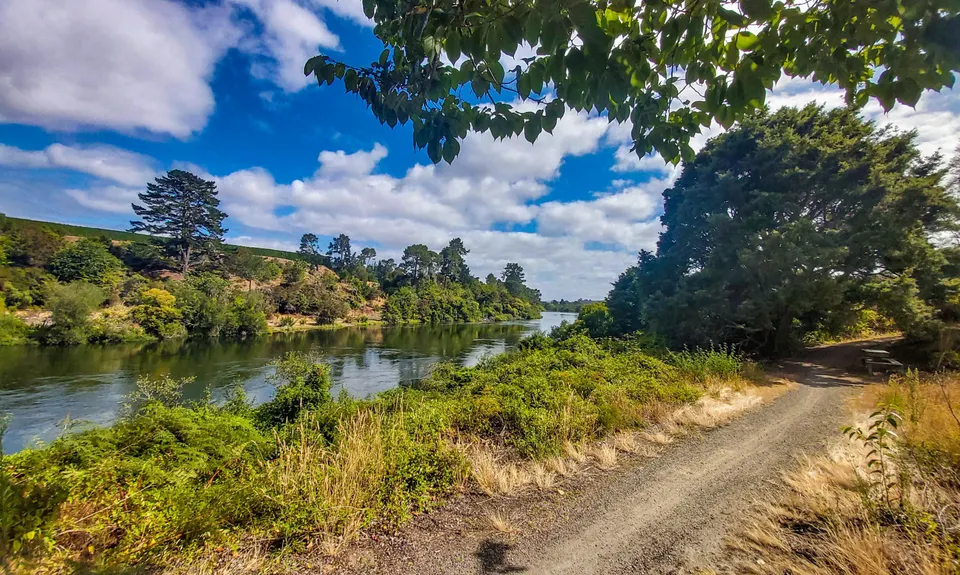 Little Waipa to Arapuni, Waikato