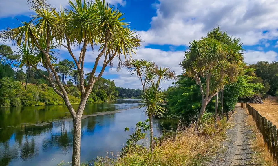 Little Waipa to Arapuni, Waikato