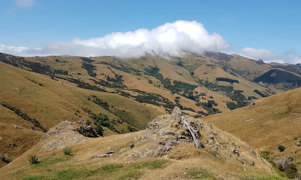 Okuti to Hilltop Amble, Canterbury