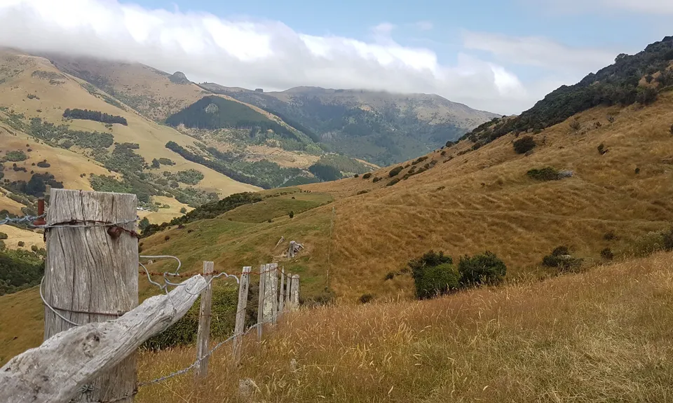 Okuti to Hilltop Amble, Canterbury