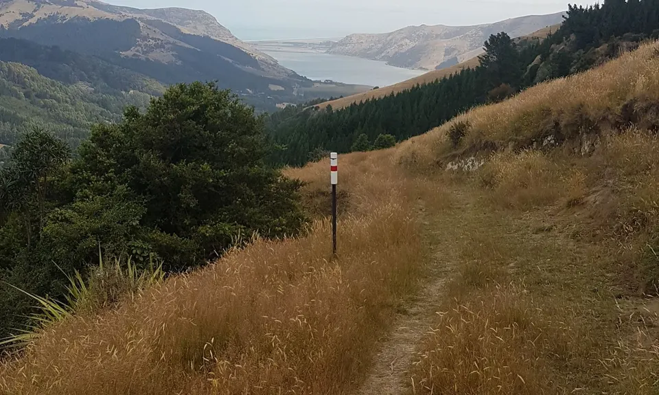 Okuti to Hilltop Amble, Canterbury
