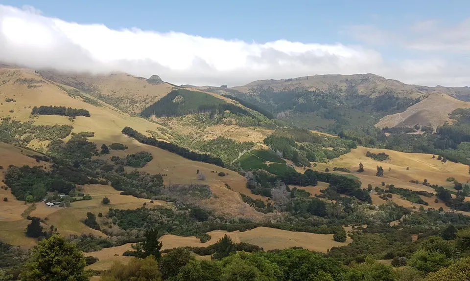 Okuti to Hilltop Amble, Canterbury