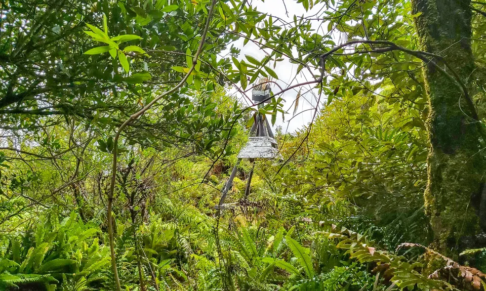 Otawa Trig, Bay of Plenty