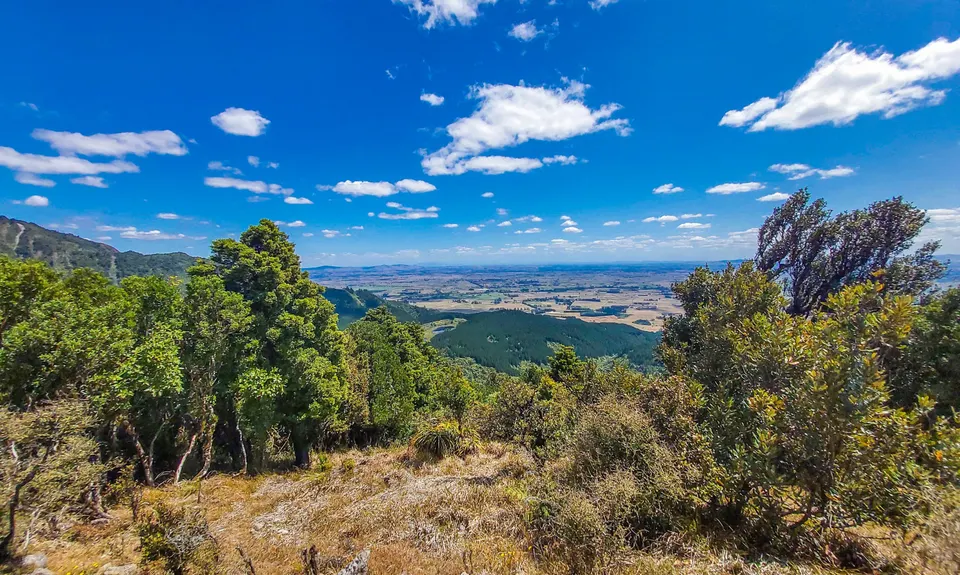 Hot Springs Loop, Bay of Plenty