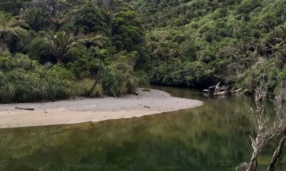 Porarari to Cave Creek, West Coast