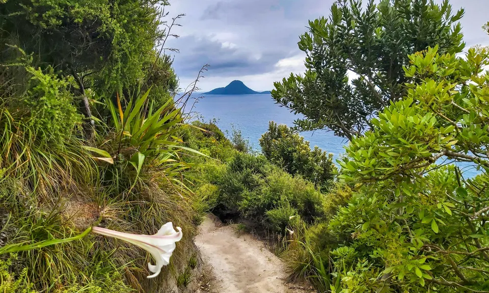 Nga Tapuwae o Toi Trail, Bay of Plenty