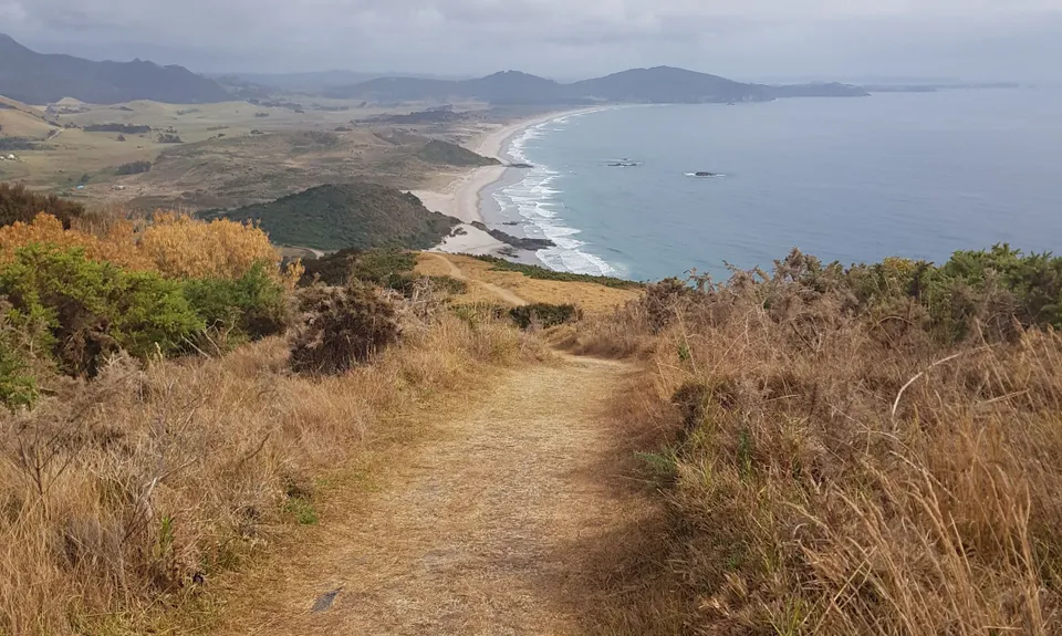 Bream Head Te Whara Trail, Northland