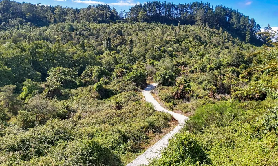 Pohaturoa Track, Bay of Plenty