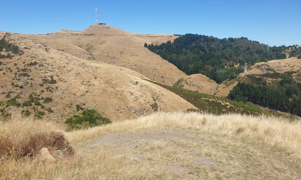 The North Faces, Canterbury