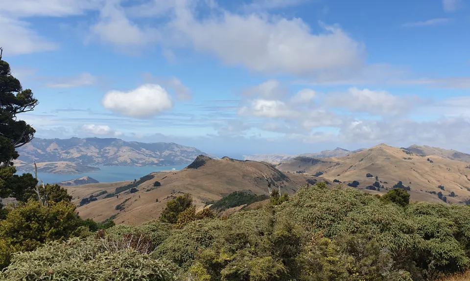 Banks Peninsula Ultra Beer Run, Canterbury