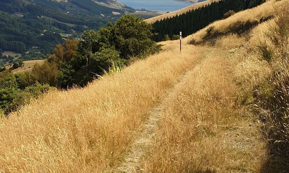 Okuti to Hilltop Amble, Canterbury