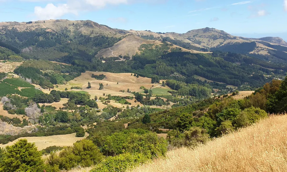 Okuti to Hilltop Amble, Canterbury