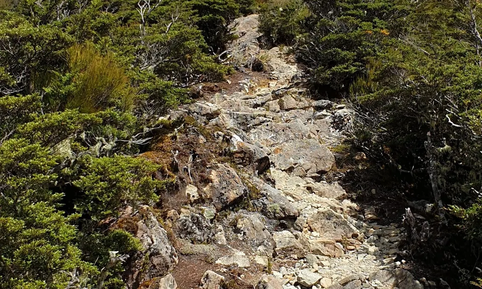 Avalanche Peak, Canterbury