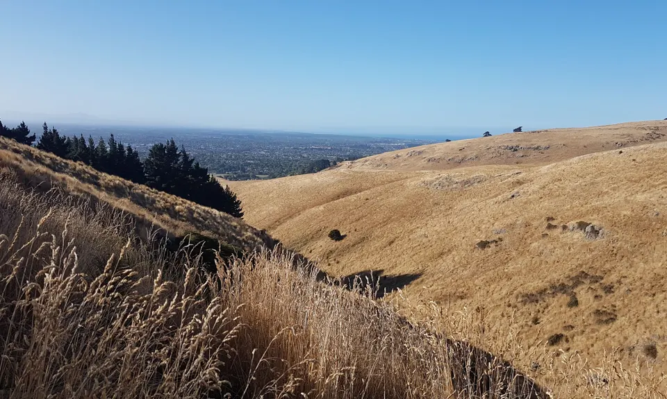 Hunting Out A Gorge-ous Loop, Canterbury