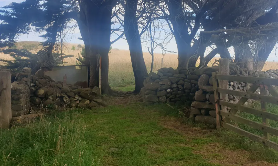 Karetai, Highcliff, Paradise and Greenacres, Otago