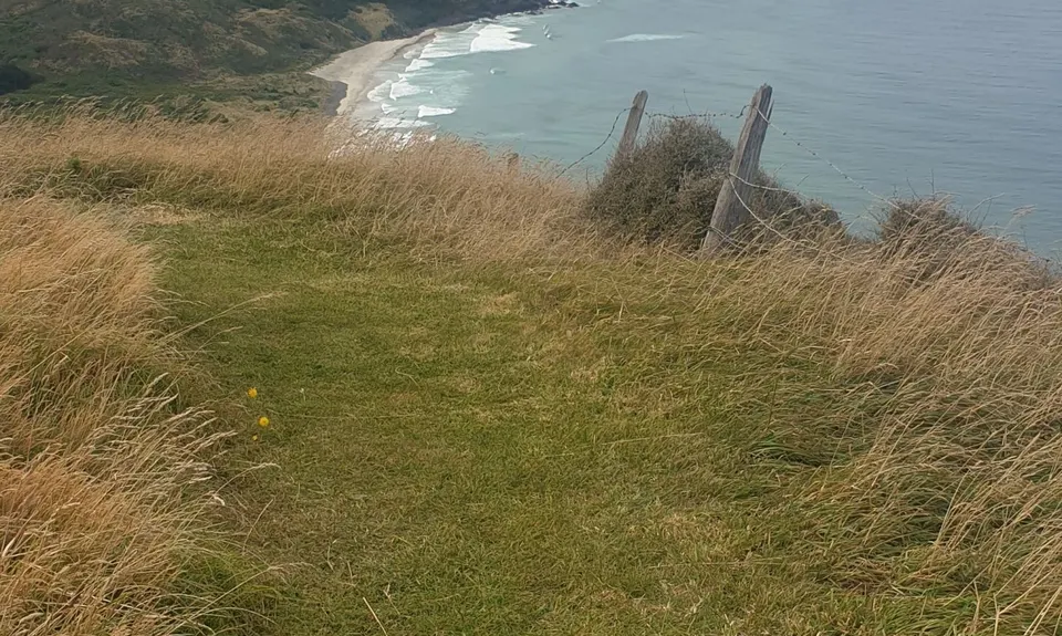 Karetai, Highcliff, Paradise and Greenacres, Otago