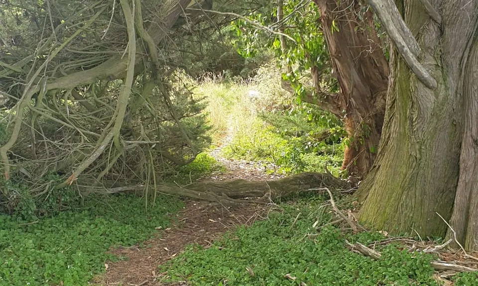 Karetai, Highcliff, Paradise and Greenacres, Otago