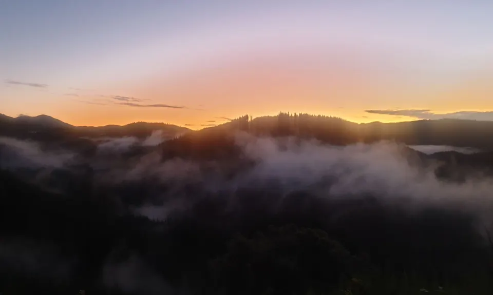 Sharlands-Central Road Loop, Nelson
