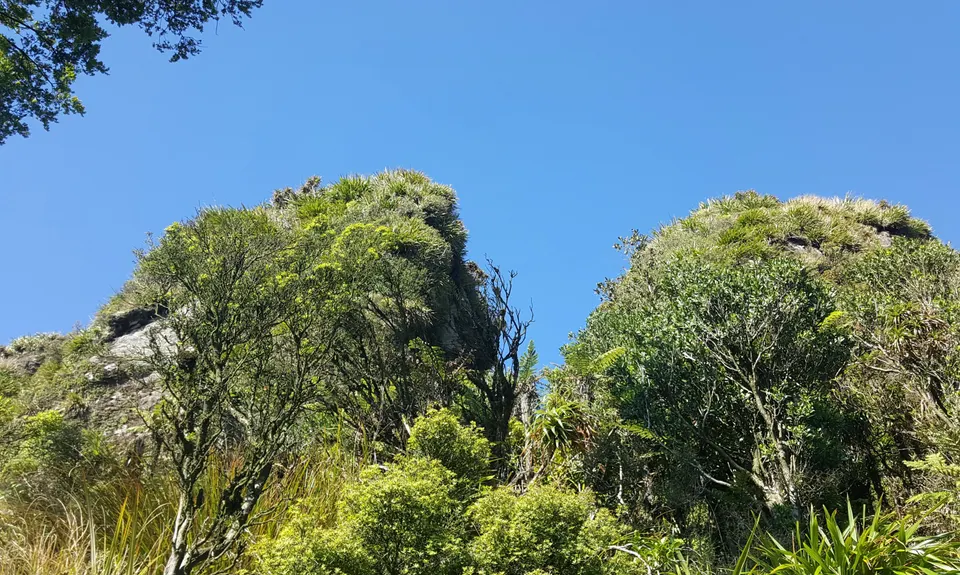 Tuahu Traverse, Bay of Plenty