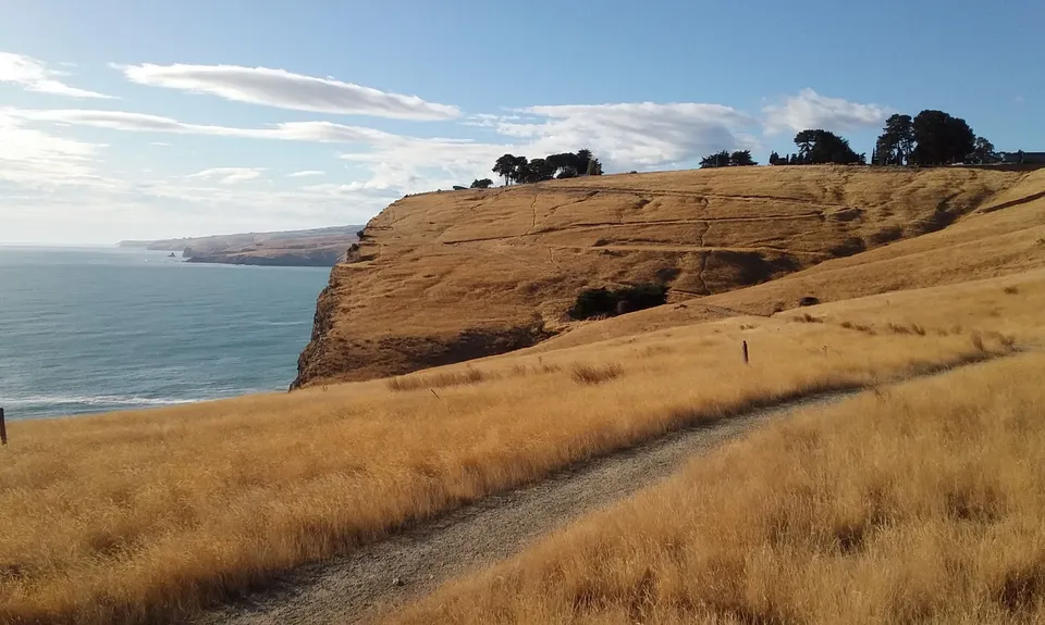 Godley Head loop, Canterbury