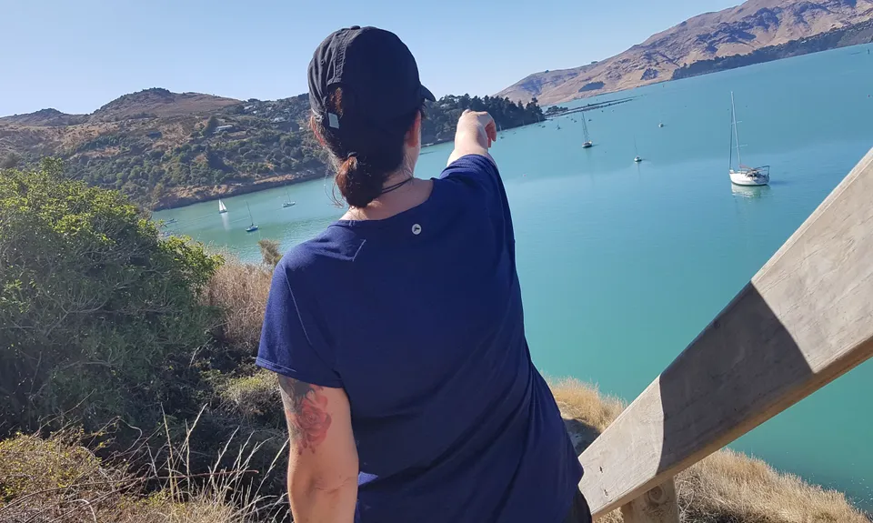 Dog Sniffing Rhythms - Harbour Crusin', Canterbury