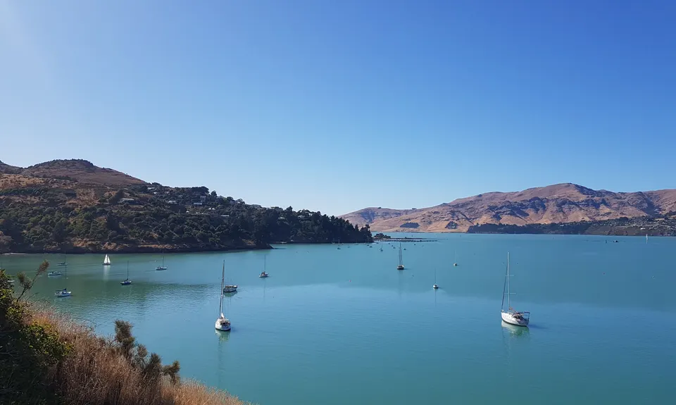 Dog Sniffing Rhythms - Harbour Crusin', Canterbury