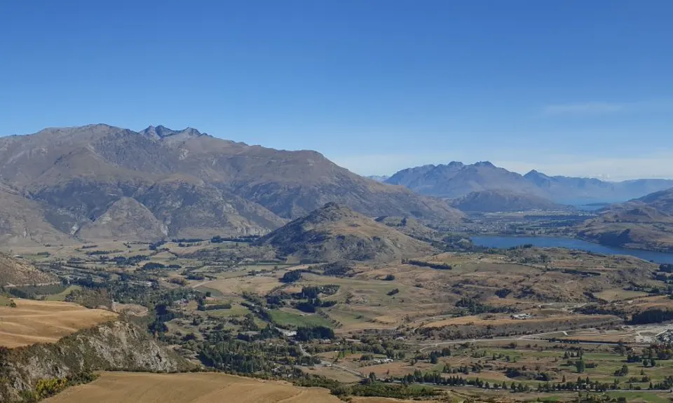 Beat Beetham , Otago