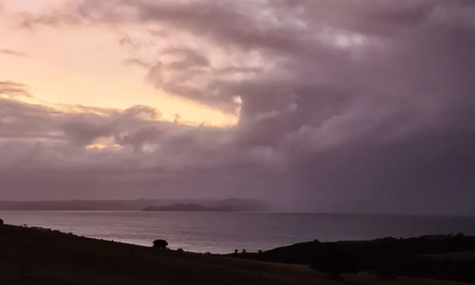 Everything but the Gun Range, Auckland