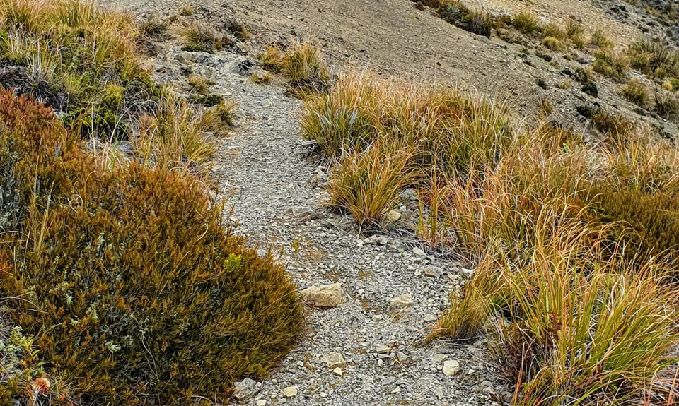 Mt Isobel Long Loop, Canterbury