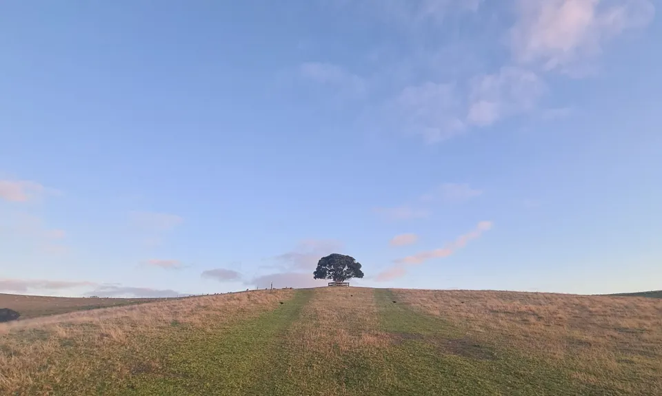 Everything but the Gun Range, Auckland