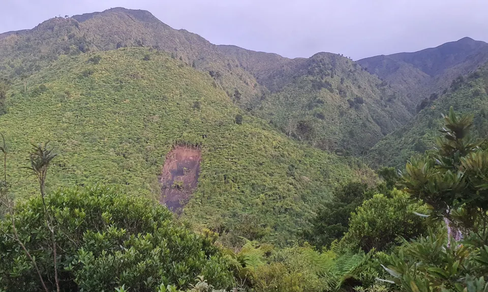 Coppermine Loop & Mine, Manawatu - Wanganui