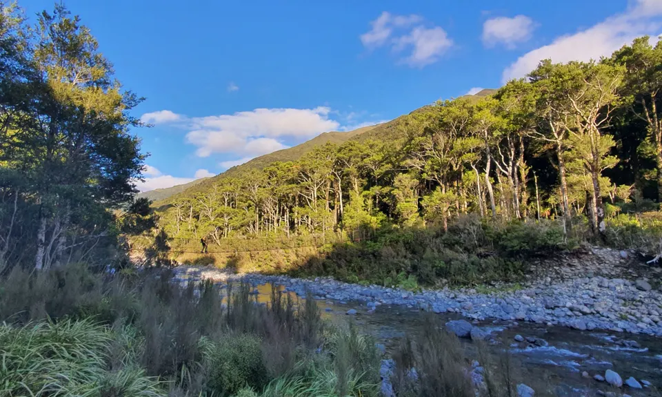 Herepai & Roaring Stag Huts, Manawatu - Wanganui